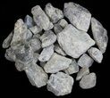 Rough Labradorite (Small Pieces) Wholesale Lot - pounds #59616-2